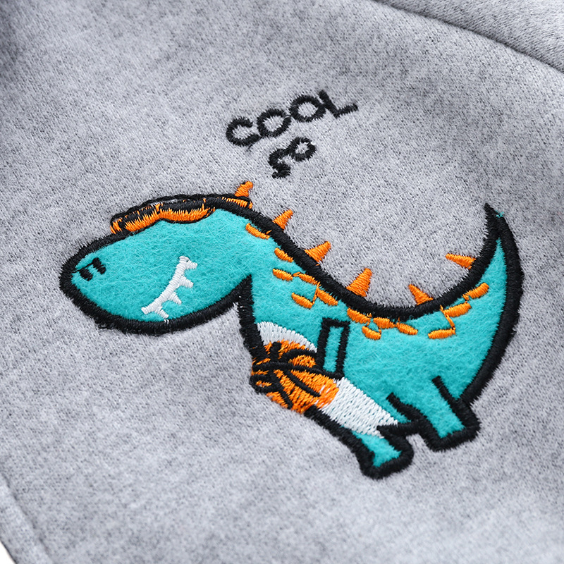 Boys’ dinosaur spell sleeve hooded sweatshirt